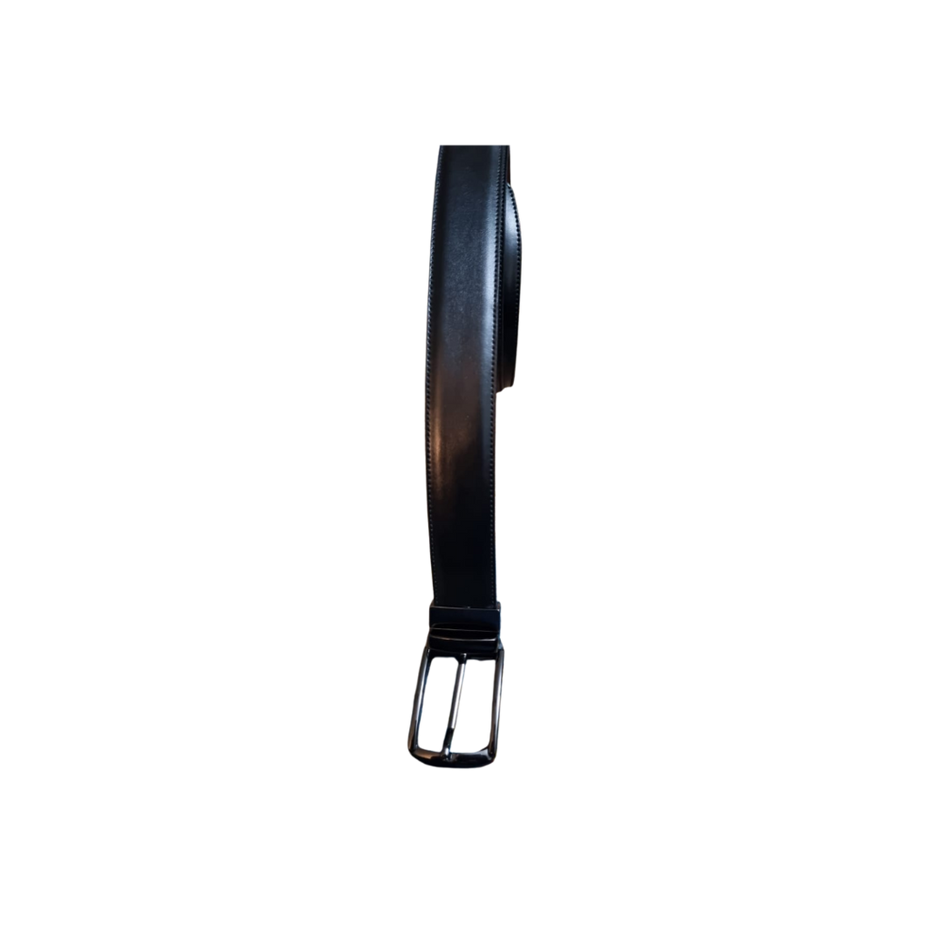 The LT-0006 Reversible Belt